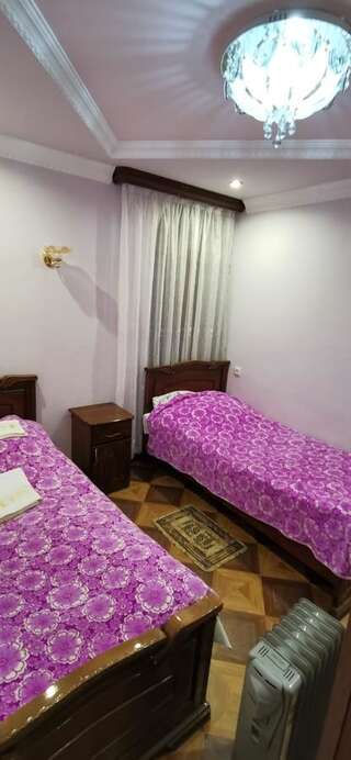Отели типа «постель и завтрак» Hotel Halidzor Алидзор Двухместный номер Делюкс с 2 отдельными кроватями-5
